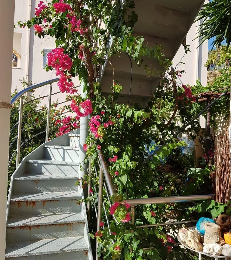★ Meniko'S House ★ Amazing Sea View Daire Himarë